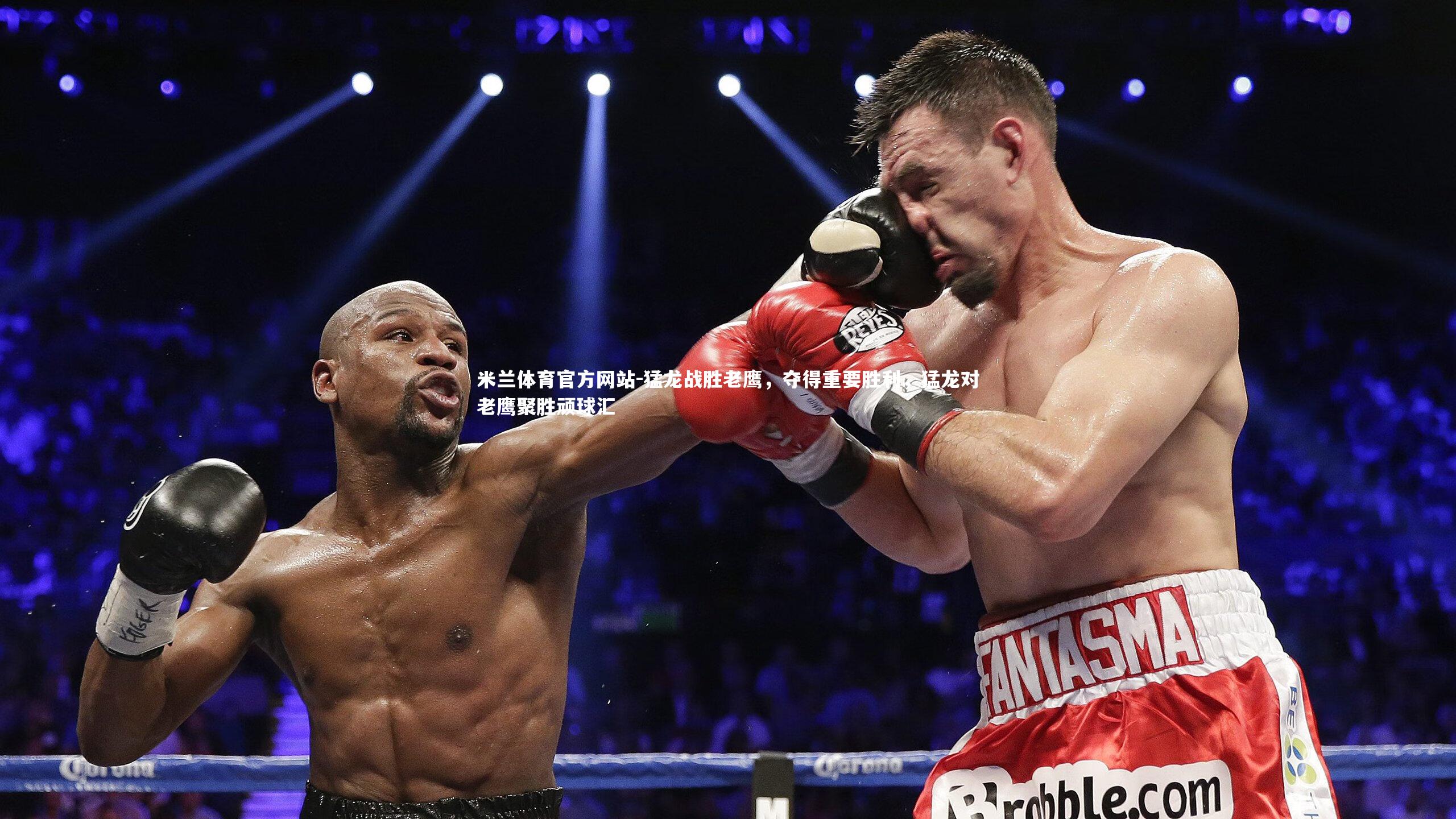 米兰体育官方网站-猛龙战胜老鹰，夺得重要胜利，猛龙对老鹰聚胜顽球汇